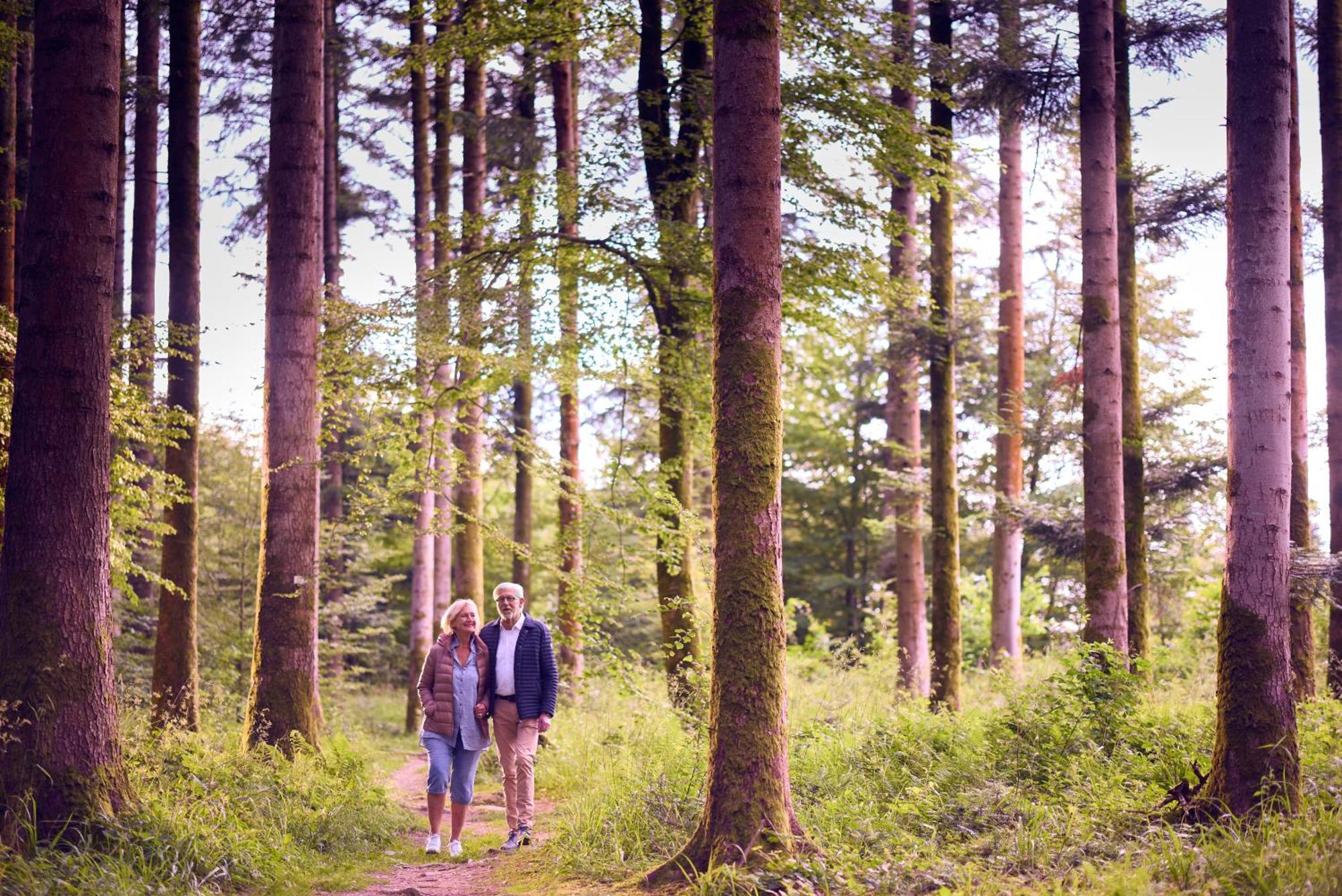 Center Parcs Les Trois Forets Hattigny Ngoại thất bức ảnh